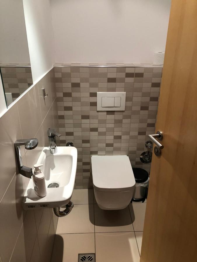 Apartma Runi Pod Zlato Lisico Pekre エクステリア 写真